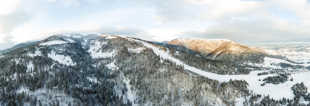 Winterlandschaft im Nebel mit Schnee und mit Raureif und gefrorenem Schnee bedeckten Zweigen Hochwertiges Foto