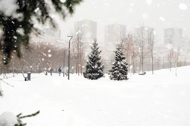 Winterlandschaft im Park