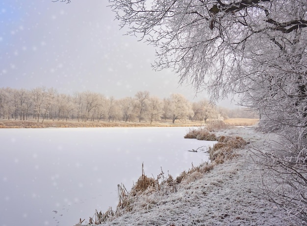 Foto winterlandschaft im stadtpark