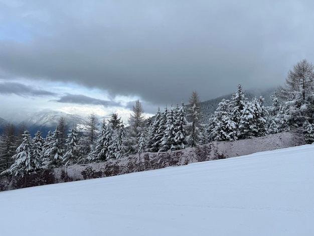 Winterlandschaft im Wald auf dem Berg