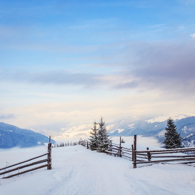 Winterlandschaft in Bergen