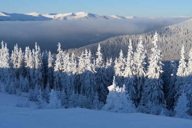 Winterlandschaft in Bergen