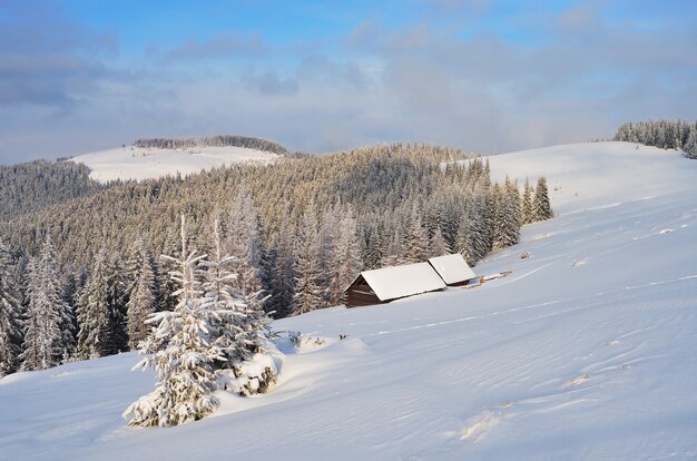 Winterlandschaft in den Bergen