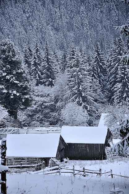 Winterlandschaft in den Bergen