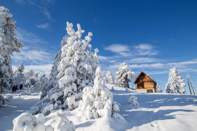 Winterlandschaft in den Bergen