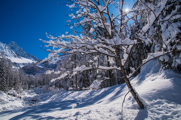 Winterlandschaft in den französischen Alpen