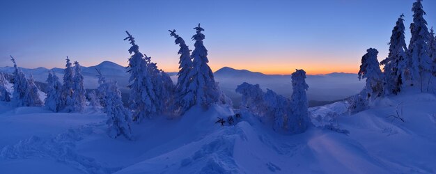 Winterlandschaft in der Dämmerung Panorama des Waldes im Schnee