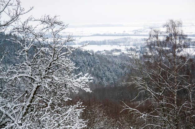 Winterlandschaft in Hohenlohe