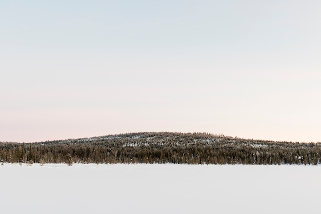 Winterlandschaft in Kiruna Lappland Schweden