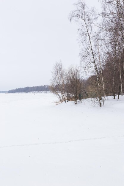 Winterlandschaft in Russland, Istra-See und Bäume