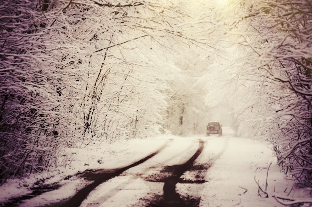 Winterlandschaft in warmen Tönen