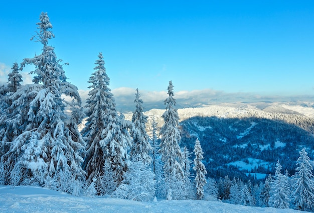 Winterlandschaft Karpaten Ukraine