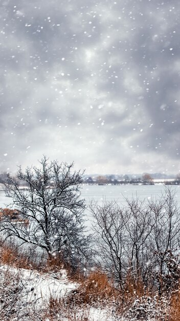 Winterlandschaft mit Bäumen am Fluss bei Schneefall