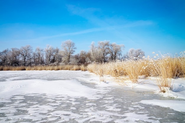 Winterlandschaft mit Bäumen, gefrorenem Fluss und blauem Himmel