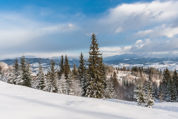 Winterlandschaft mit Bäumen und Bergen