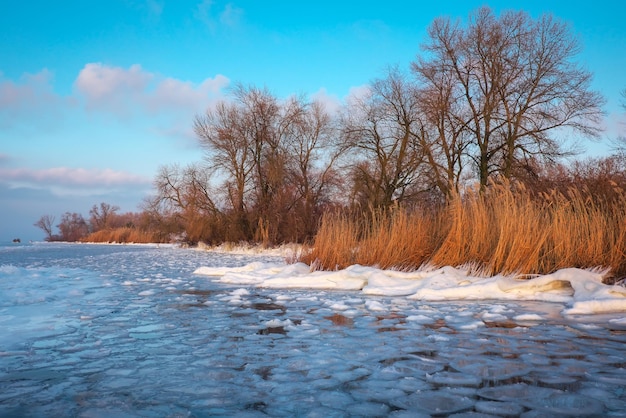 Winterlandschaft mit Bäumen und gefrorenem Meer Tagesanbruch