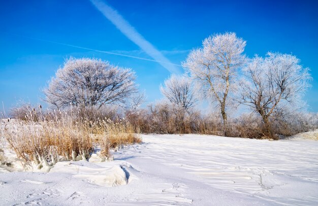 Winterlandschaft mit Bäumen und zugefrorenem Fluss