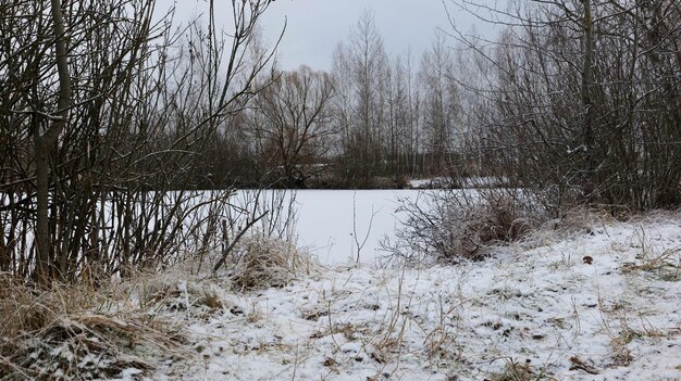 Winterlandschaft mit dem ersten Schneefall