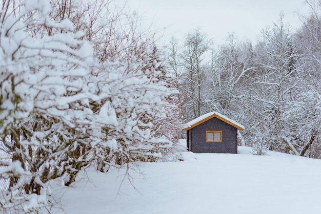 Winterlandschaft mit einem Holzhaus an den verschneiten Bäumen