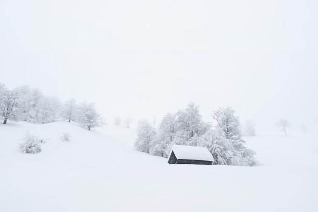 Winterlandschaft mit einem Holzhaus im Schnee