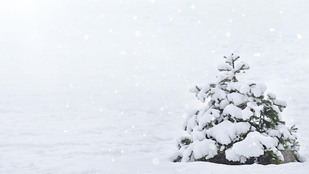 Winterlandschaft mit einem schneebedeckten Tannenbaum Weihnachten oder Neujahr Schneefall