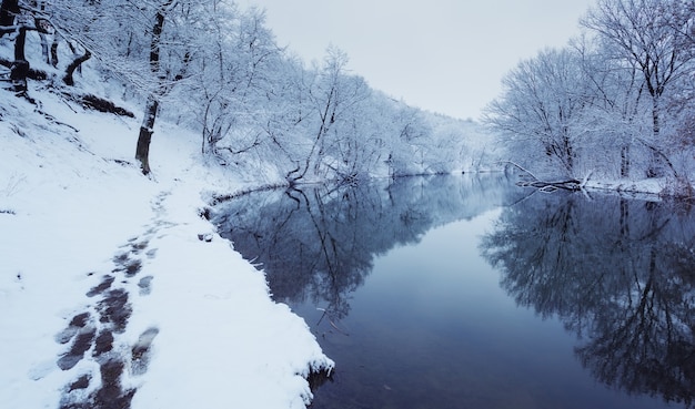 Winterlandschaft mit Fluss im Wald