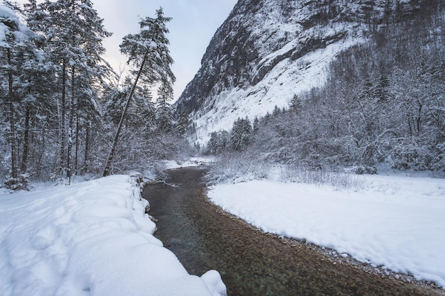 Winterlandschaft mit frostigen Fluss verschneiten Bäumen und Bergen Buntautal und Bluntausee