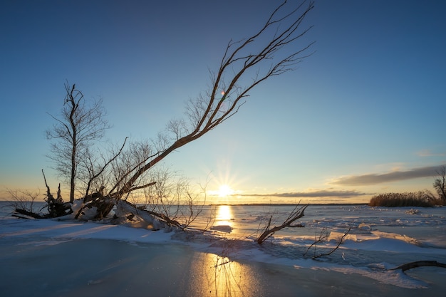 Winterlandschaft mit Haken auf dem zugefrorenen See in Ufernähe