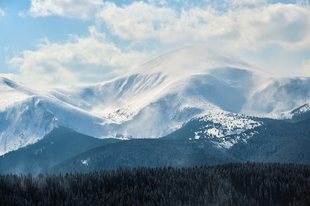 Winterlandschaft mit hohen Berghügeln bedeckt mit immergrünem Kiefernwald nach starkem Schneefall an kalten Wintertagen.