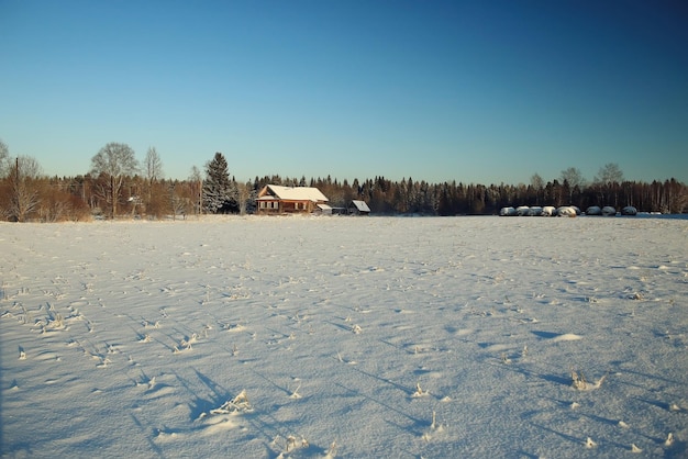 Winterlandschaft mit Horizont, Feld und Himmel