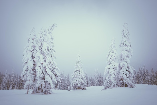 Winterlandschaft mit Nebel in den Bergen