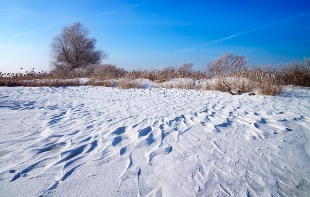 Winterlandschaft mit Schilf, Bäumen und zugefrorenem Fluss