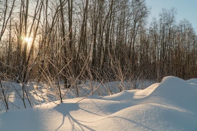 Winterlandschaft mit Schnee und Bäumen. Naturlandschaft im Winter