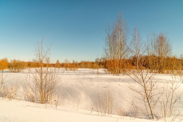 Winterlandschaft mit Schnee und Bäumen. Naturlandschaft im Winter