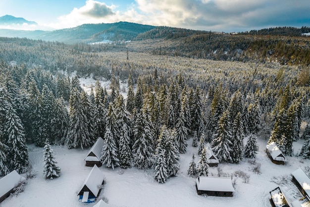 Winterlandschaft mit Schneebäumen und Holzhäusern