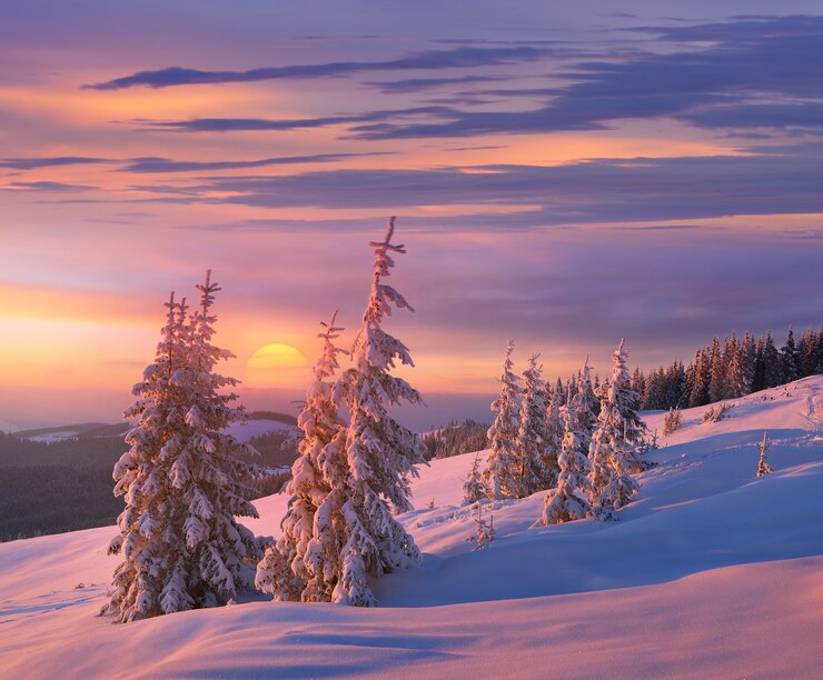 Foto winterlandschaft mit schneebedeckten bäumen