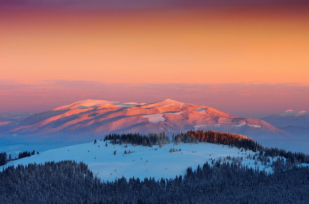 Winterlandschaft mit schneebedeckten Bäumen