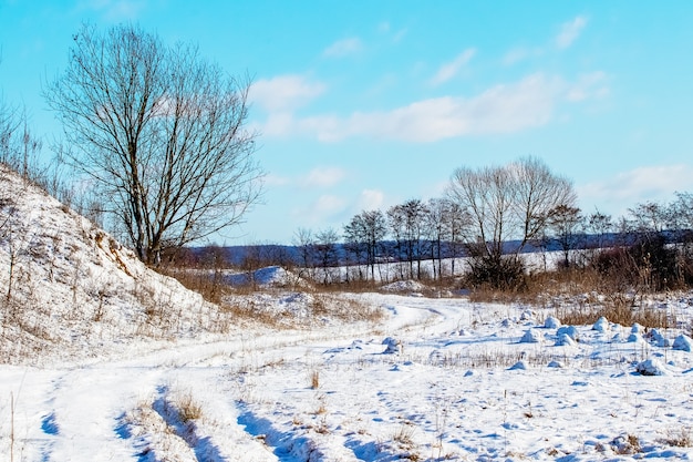 Winterlandschaft mit schneebedeckter Straße und Bäumen bei sonnigem Wetter