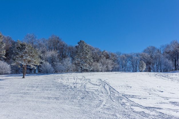 Winterlandschaft mit Schneehang zum Rodeln, Schläuchen und Motorschlittenfahren am frühen Morgen