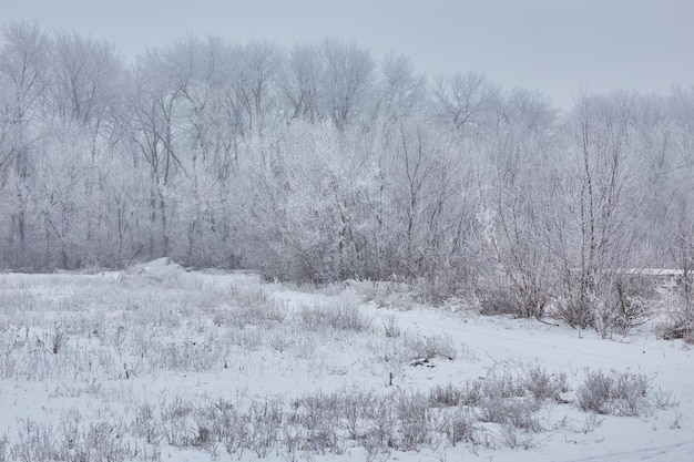 Winterlandschaft mit Schotterweg