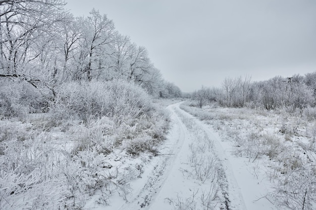 Winterlandschaft mit Schotterweg