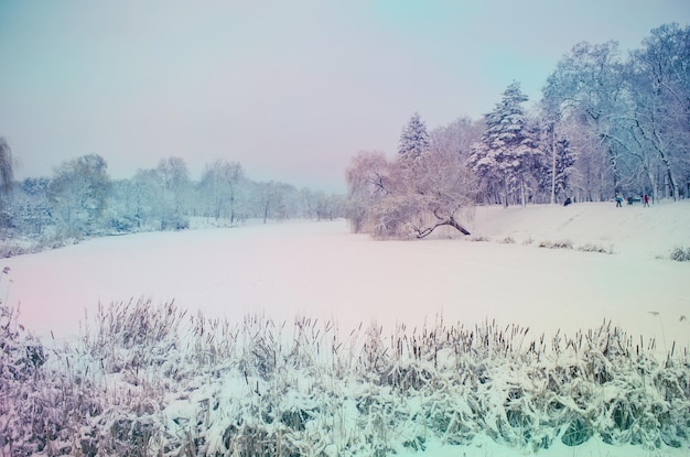 Winterlandschaft mit See