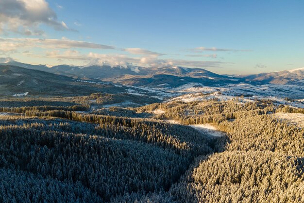 Winterlandschaft mit Spruse-Bäumen von schneebedecktem Wald in kalten Bergen.