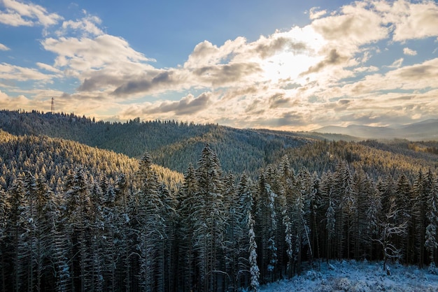 Winterlandschaft mit Spruse-Bäumen von schneebedecktem Wald in kalten Bergen.