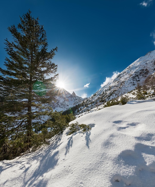 Winterlandschaft mit Tatra-Gebirge am Lake Morskie Oko Tatra National Park Poland