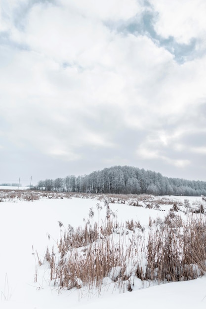 Winterlandschaft mit Wald und Feldern