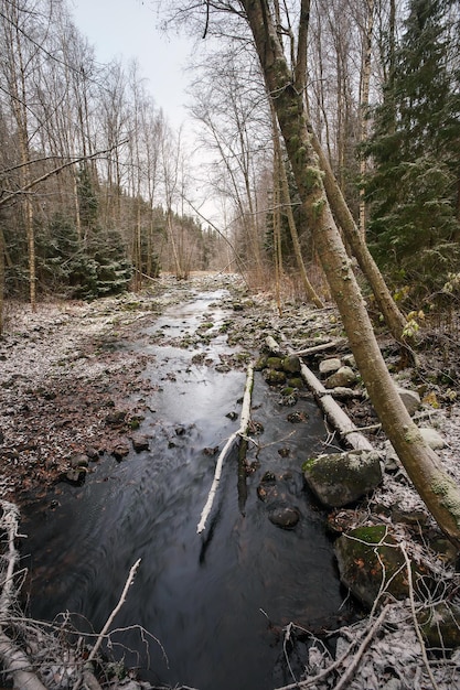 Winterlandschaft mit Waldfluss Republik Karelien Russland