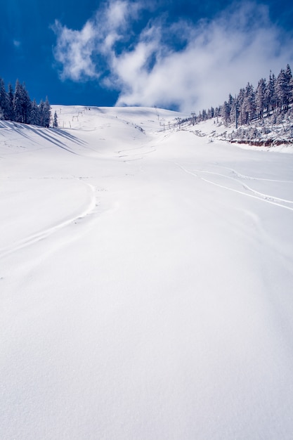 Winterlandschaft. Natur