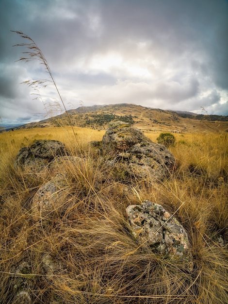 Winterlandschaft, Nebel und dunkle Wolken, Straße zum Gipfel des Berges, grüne Pflanzen und dunkle mysteriöse Atmosphäre. Spanien.