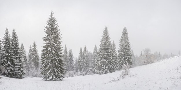 Winterlandschaft - Schnee Märchen